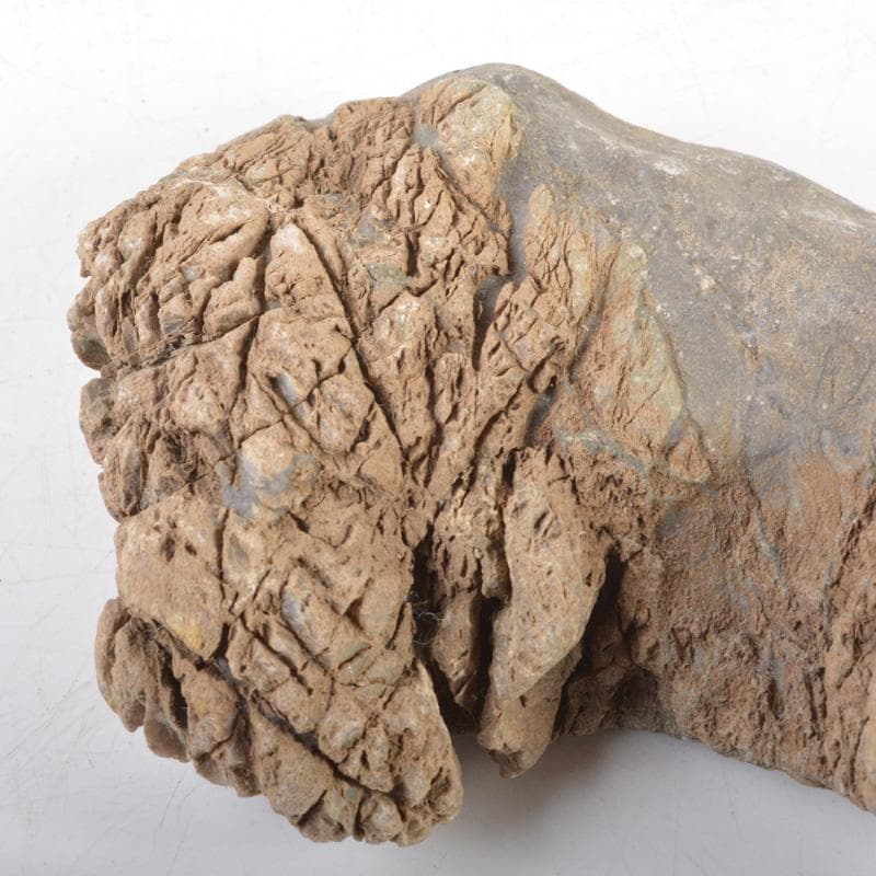 天然石　鑑賞石　菊花石など　置物　3点まとめて　C　5459A