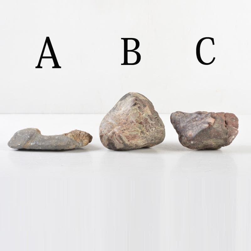 天然石　鑑賞石　菊花石など　置物　3点まとめて　C　5459A