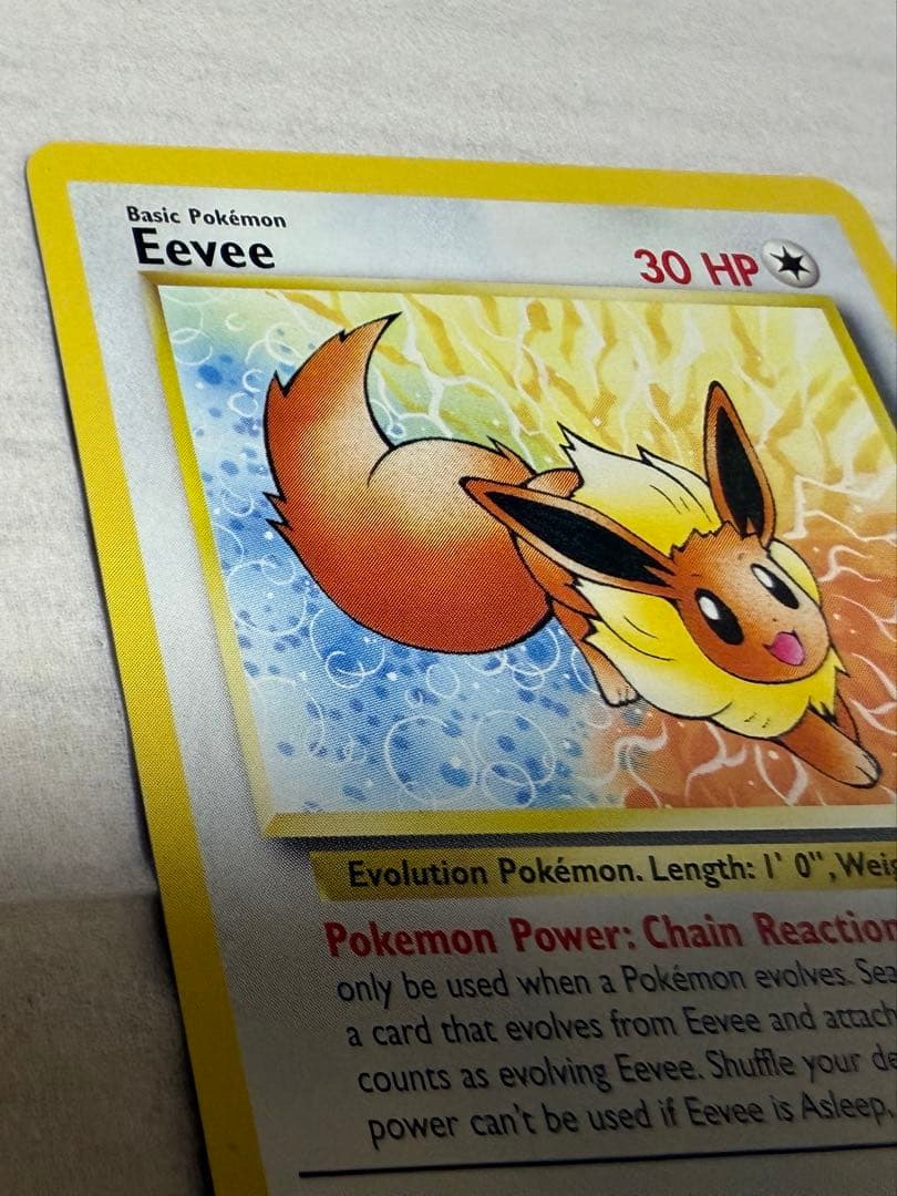 超希少　ポケモンカード英語版　イーブイ Eevee JRスタンプラリー　プロモ