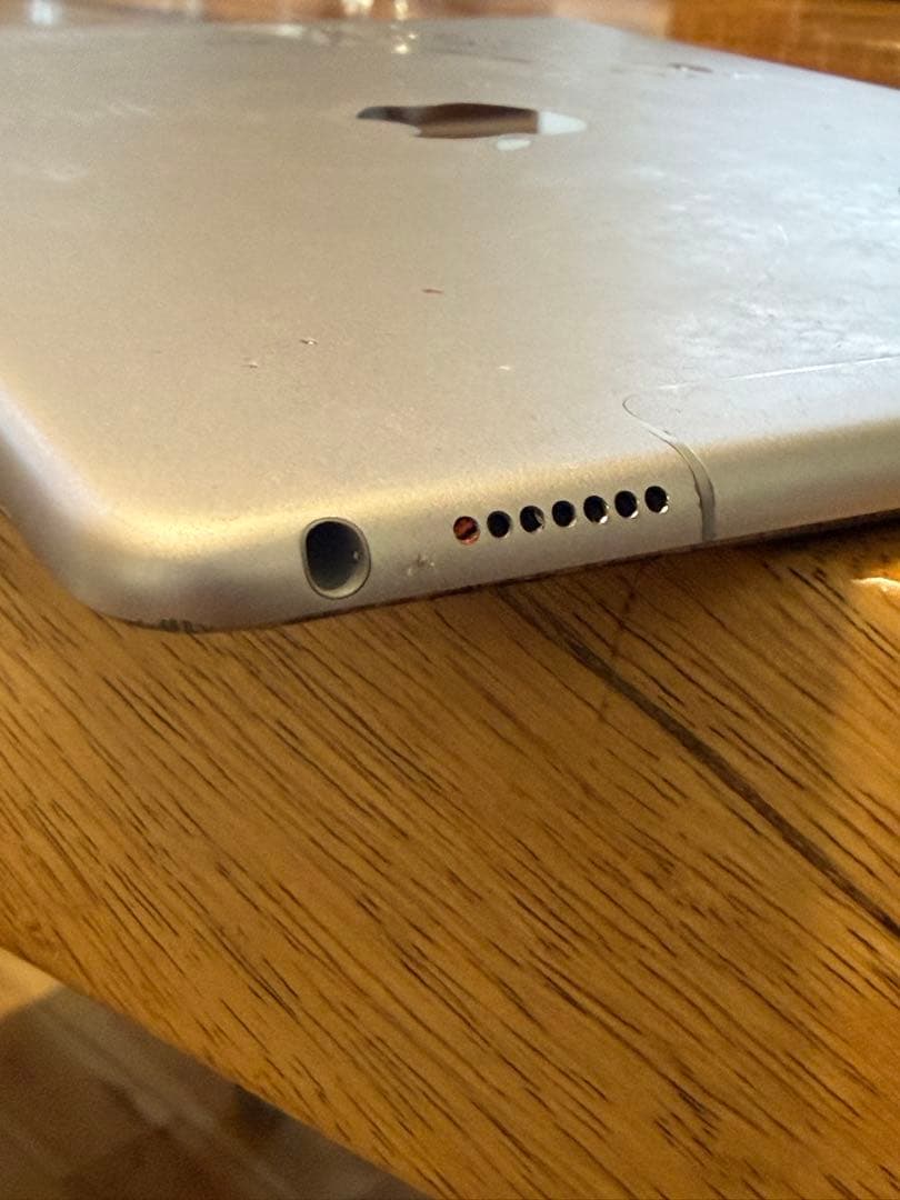 富*様 Apple iPad Pro 9.7インチ 32GB グレイ MLPW2