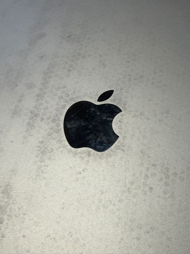 富*様 Apple iPad Pro 9.7インチ 32GB グレイ MLPW2