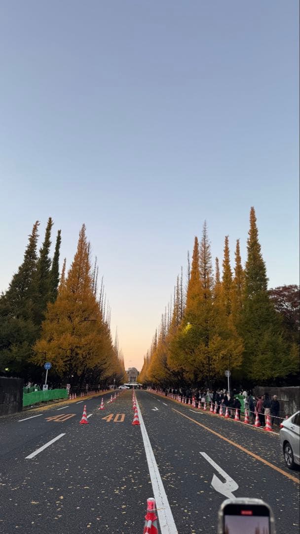 Apple iPhone 15 Pro ブラック 128 iFace付き