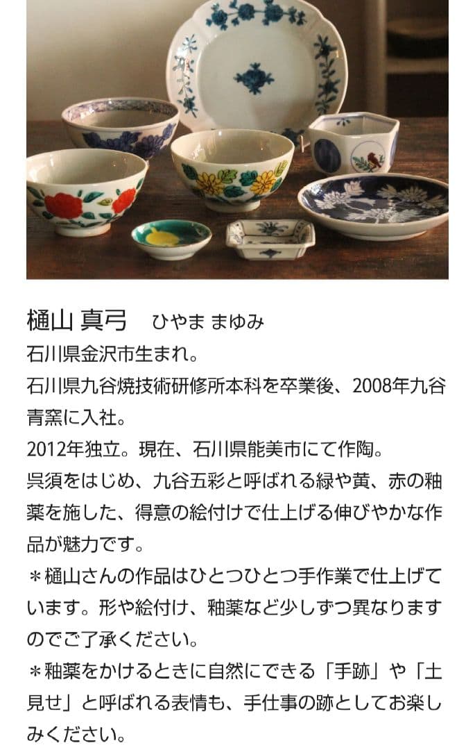 ☆最終価格☆レア物【新品未使用】九谷焼作家物 樋山真弓 色絵花と小紋6.5寸深皿