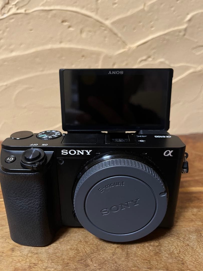 SONY α6100 ミラーレス一眼カメラ