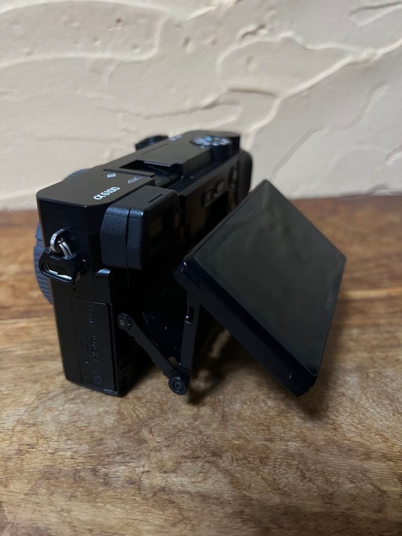 SONY α6100 ミラーレス一眼カメラ