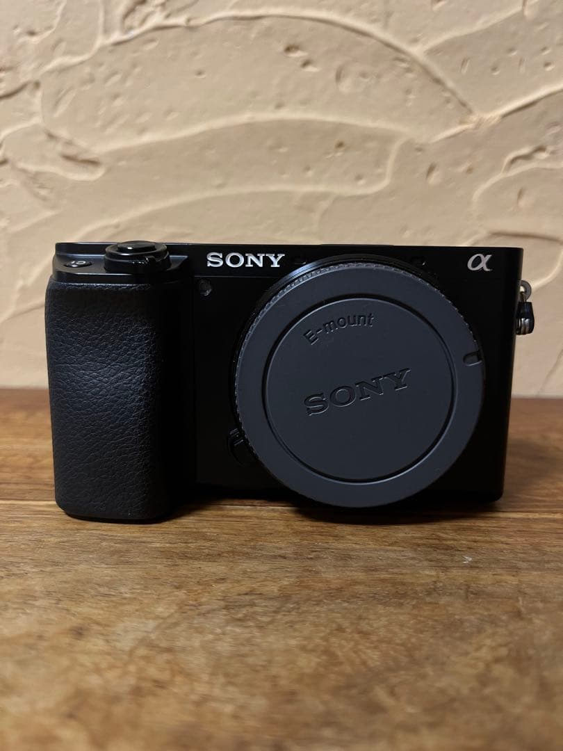 SONY α6100 ミラーレス一眼カメラ