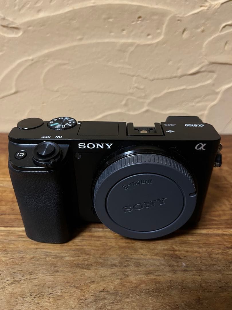 SONY α6100 ミラーレス一眼カメラ