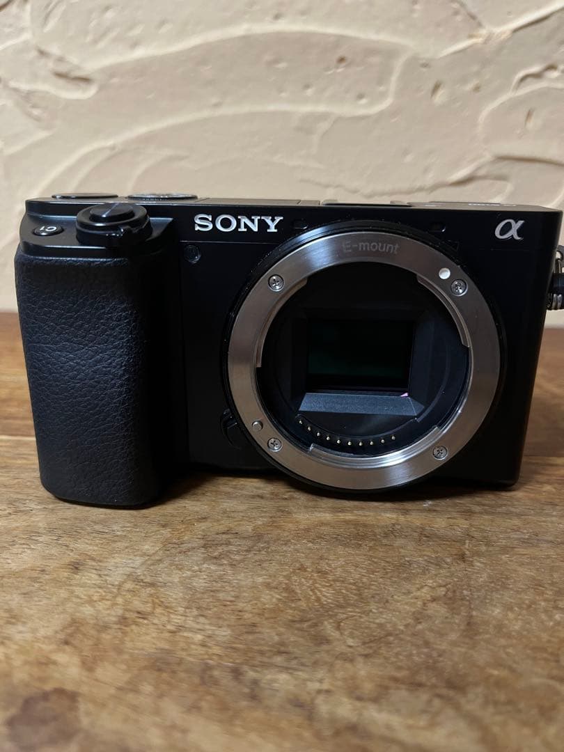 SONY α6100 ミラーレス一眼カメラ