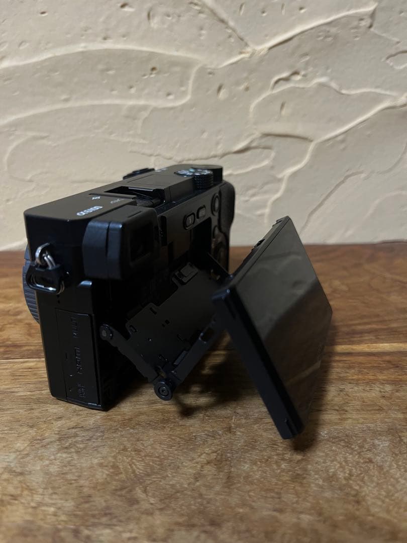 SONY α6100 ミラーレス一眼カメラ