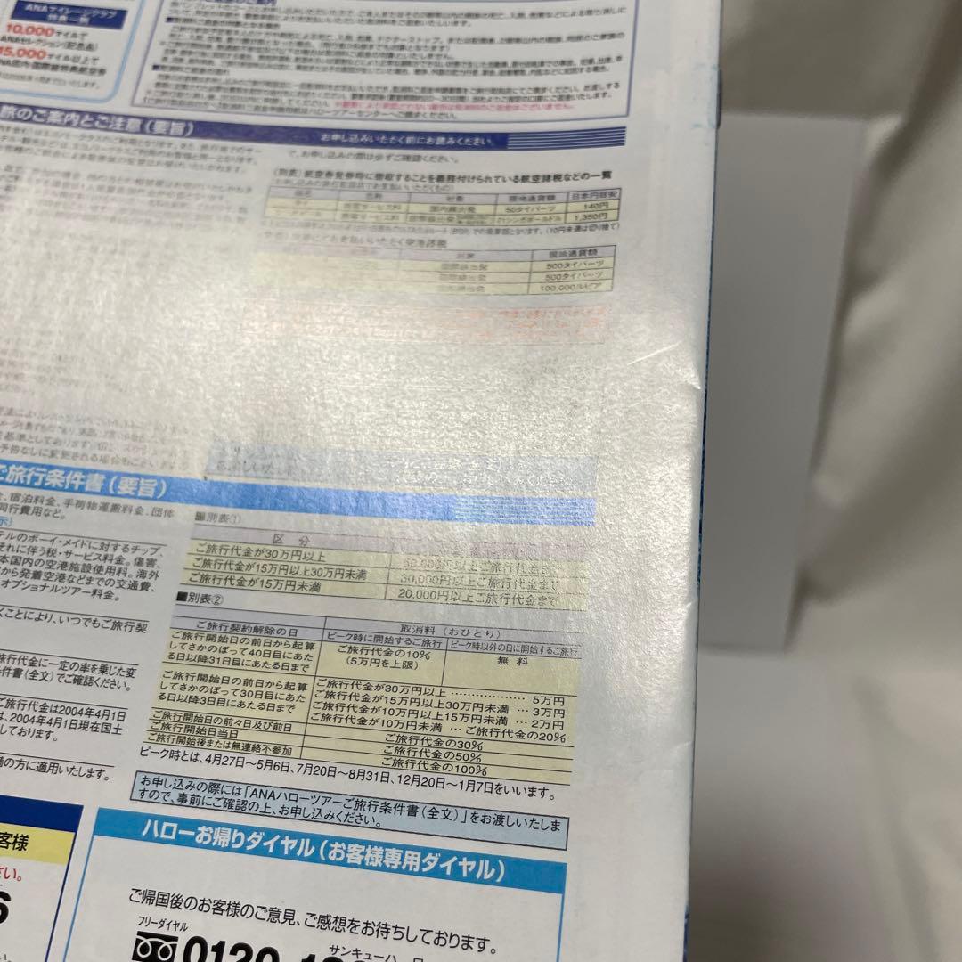 2004年 ANA ポケモン　ピカ夏家族旅行 ツアー パンフレット　A4サイズ