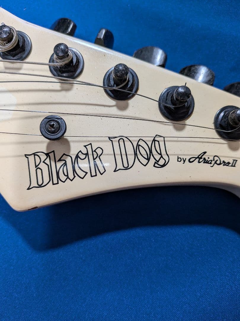 アリアプロ2biackdogホワイトアームケース。不具合なし