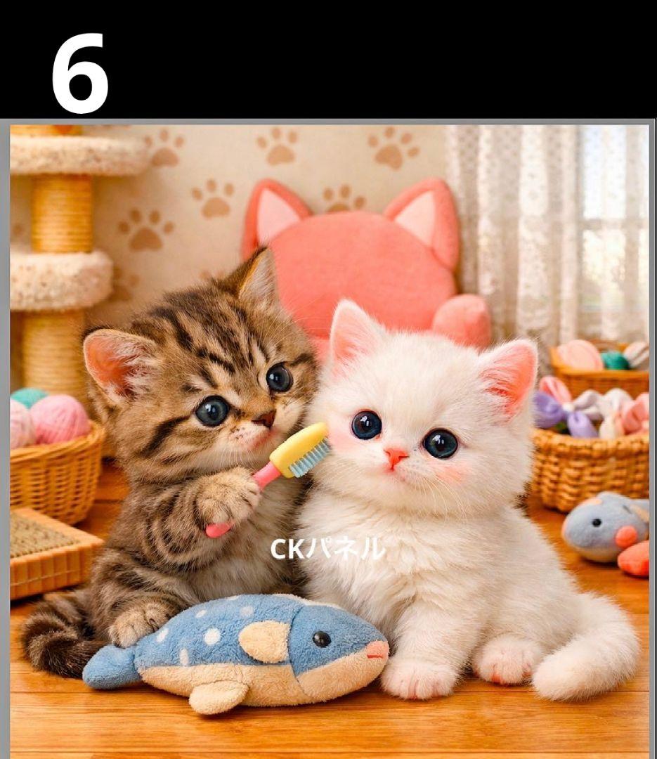 オーダーページ　ハンカチ409 ブラッシングねこちゃん柄　ハンドメイド　2/24
