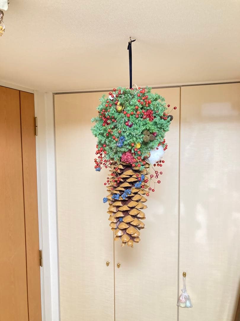 【受注販売】フライングリースシュガーパインコーン　ナチュラル