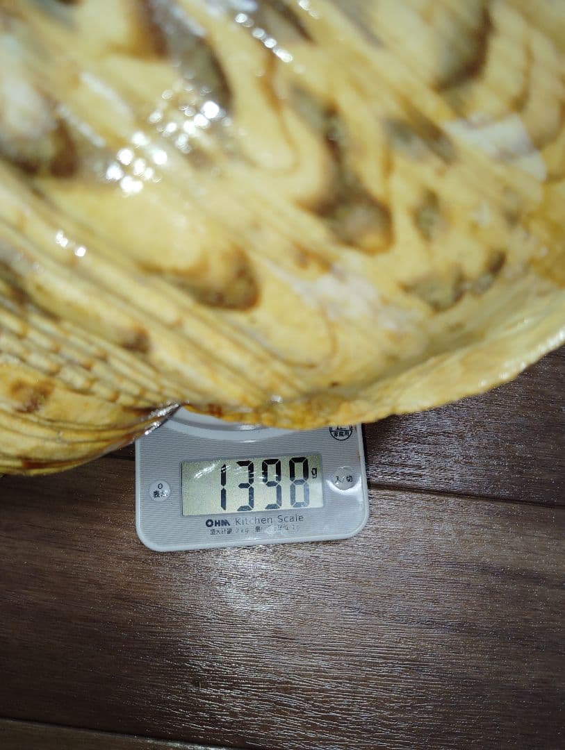 大*郎様 超特大サイズ　沖縄県産　法螺貝　ほら貝　魔除け　置物　約１．４キロ