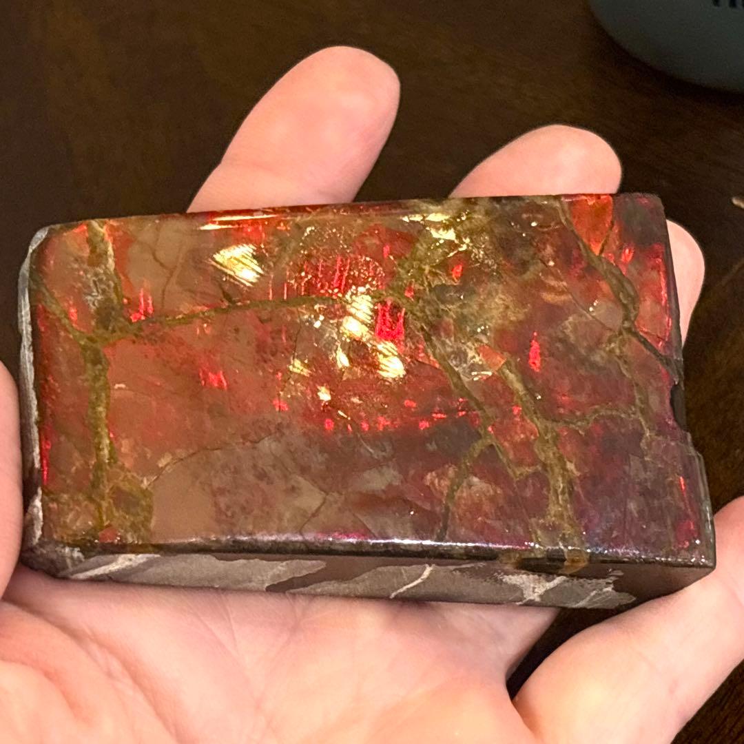 580ct カナダ産 アンモライト 樹脂スタビライズ加工 天然宝石 化石 標本