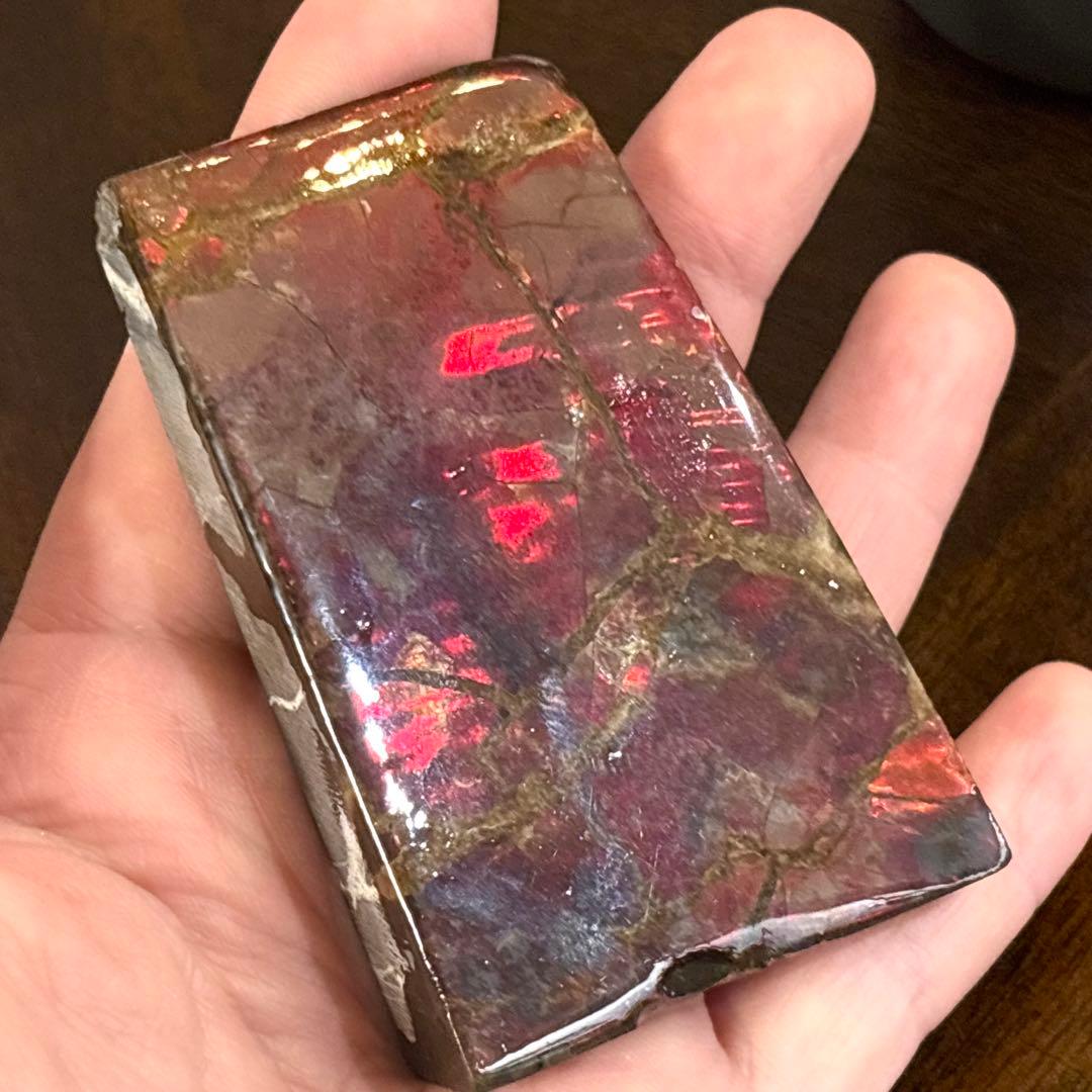 580ct カナダ産 アンモライト 樹脂スタビライズ加工 天然宝石 化石 標本