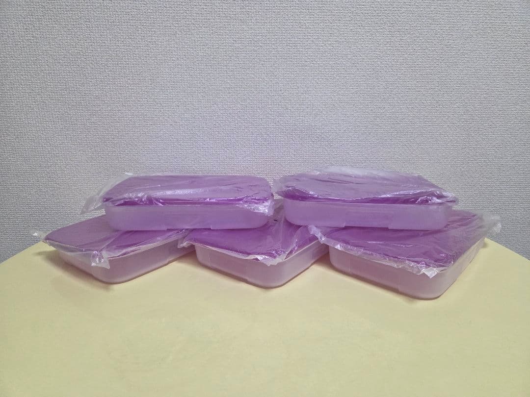 【新品・未使用】タッパーウェア フリーザーメイト L#1　5個セット