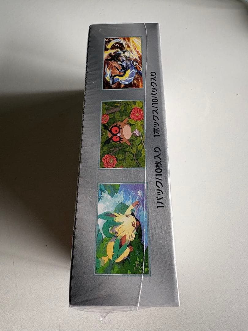 ポケモンカードゲーム テラスタルフェスex 新品未使用