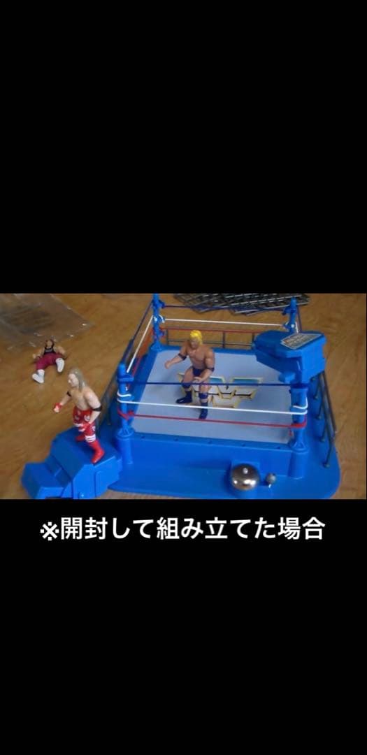 WWF WWE リング フィギュア　ハズブロ