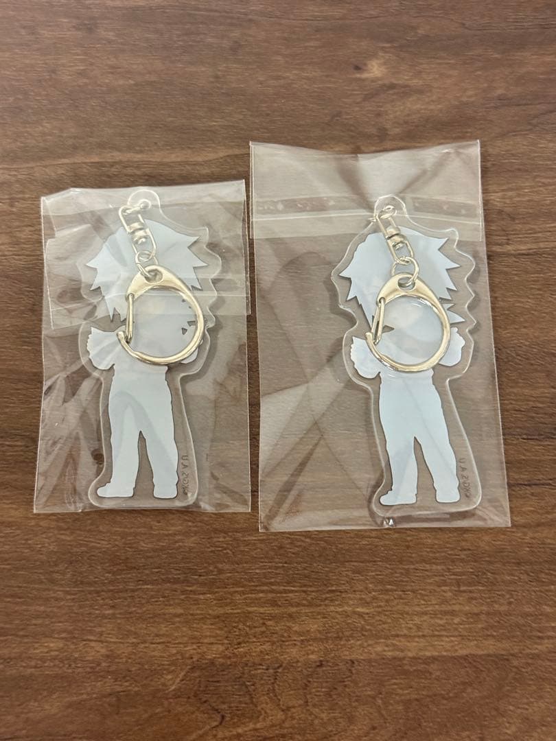 鬼滅の刃 東京ドームシティ クッション アクスタ アクキー