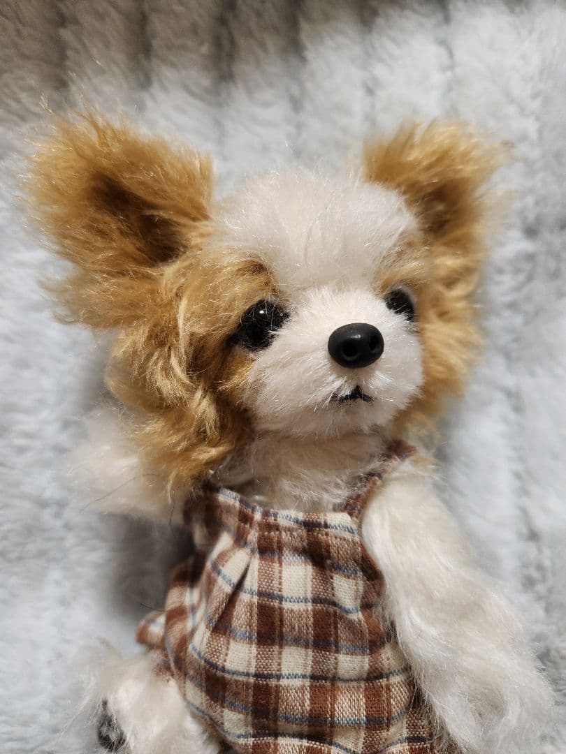 パピヨン　ぬいぐるみ　日本作家様作　犬　イヌ　創作人形