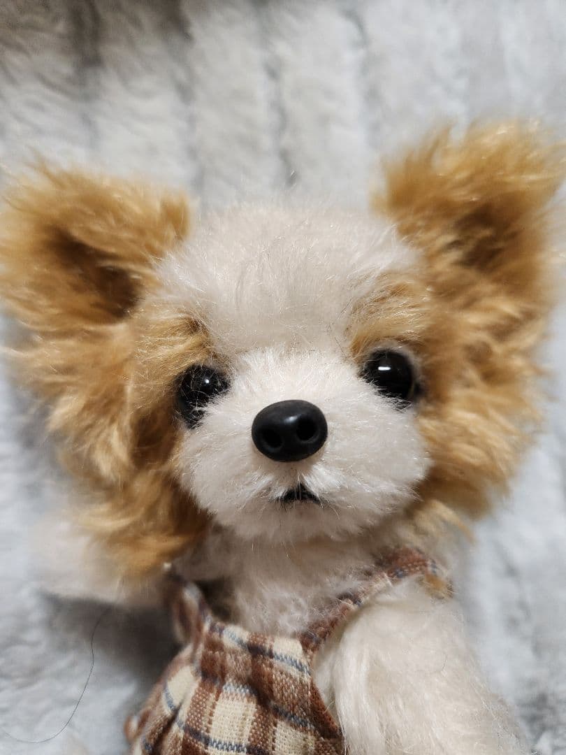 パピヨン　ぬいぐるみ　日本作家様作　犬　イヌ　創作人形