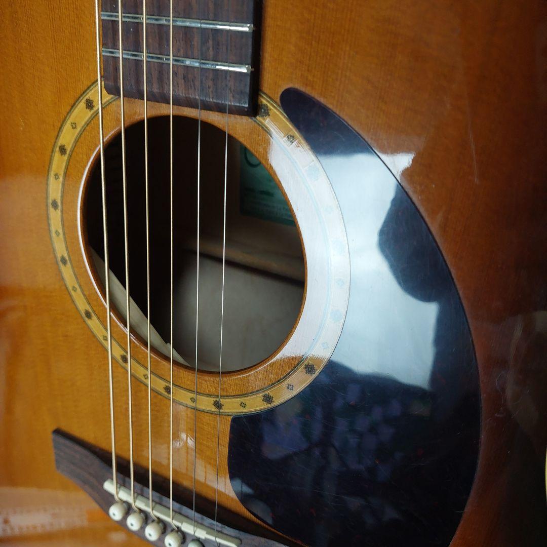 Simon & Patrick サイモン&パトリック S&P 6 サンバースト