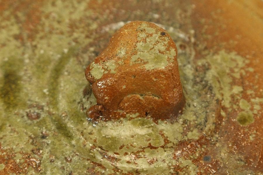 茶道具 信楽水指 刻 花月 在銘 共箱 美品(LC962)