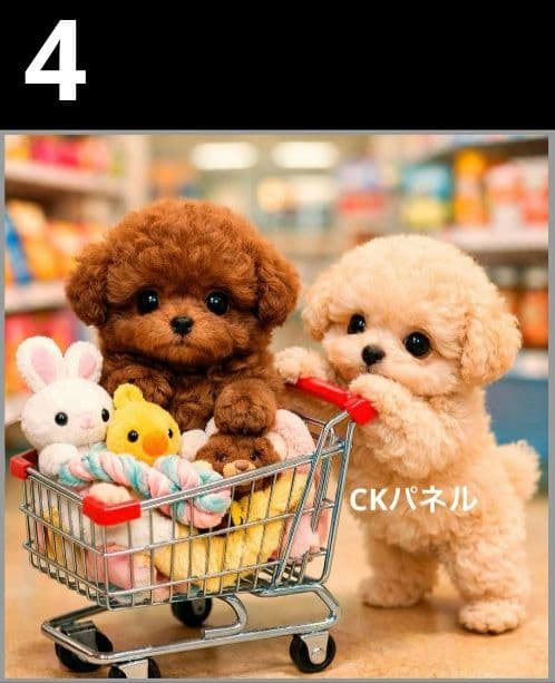 オーダーページ　ハンカチ　144 Shoppingわんこ柄　ハンドメイド2/15