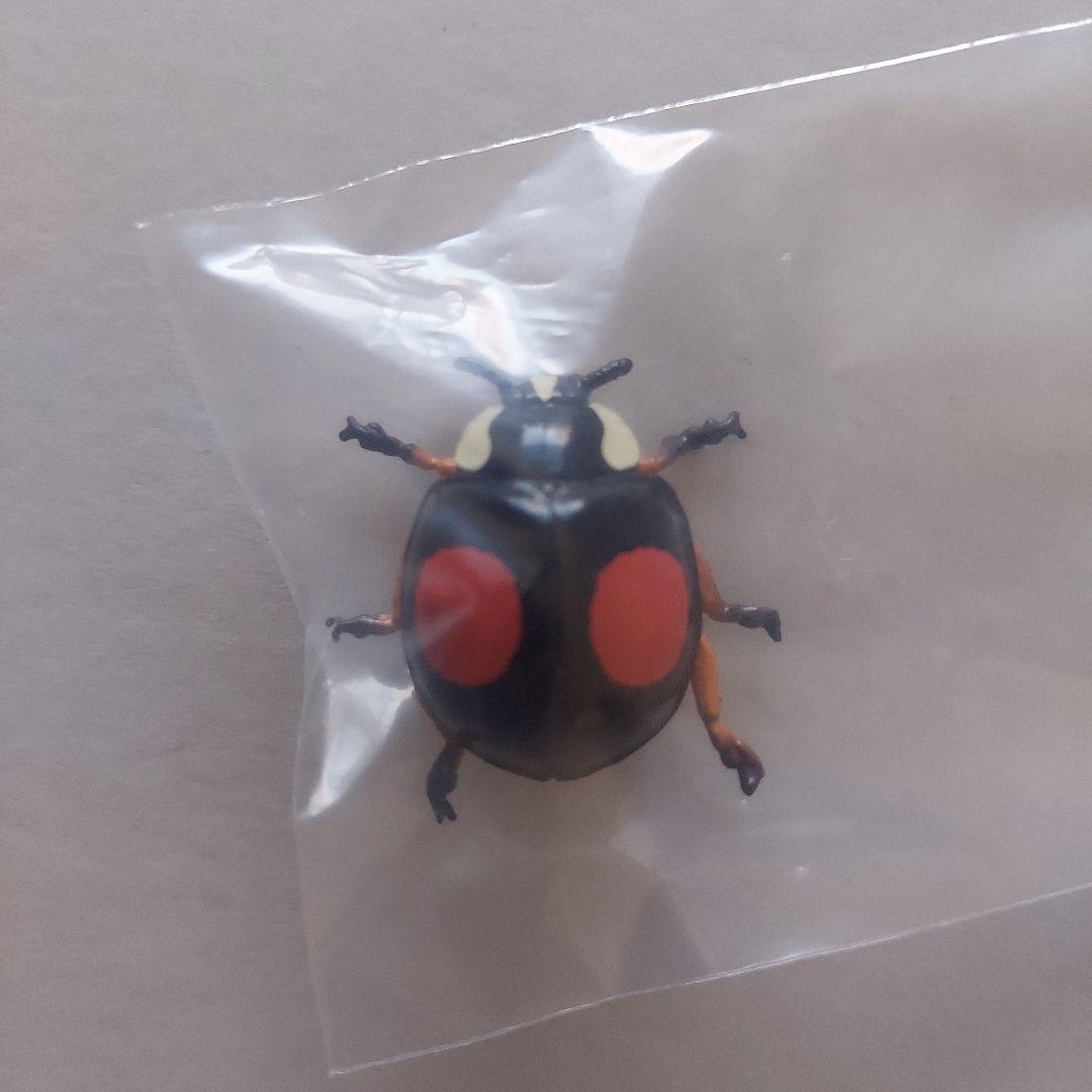 海洋堂　ひっつき虫図鑑　フィギュア　全6種