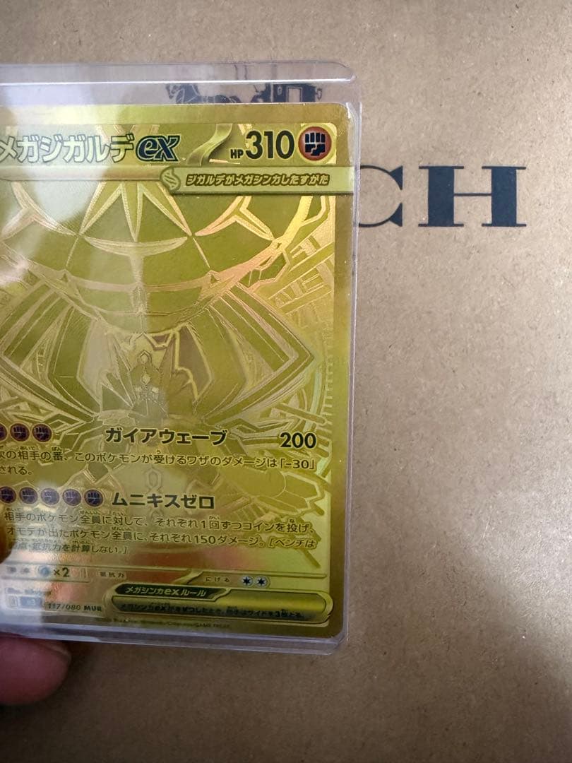 メガシンカルデEX HP310