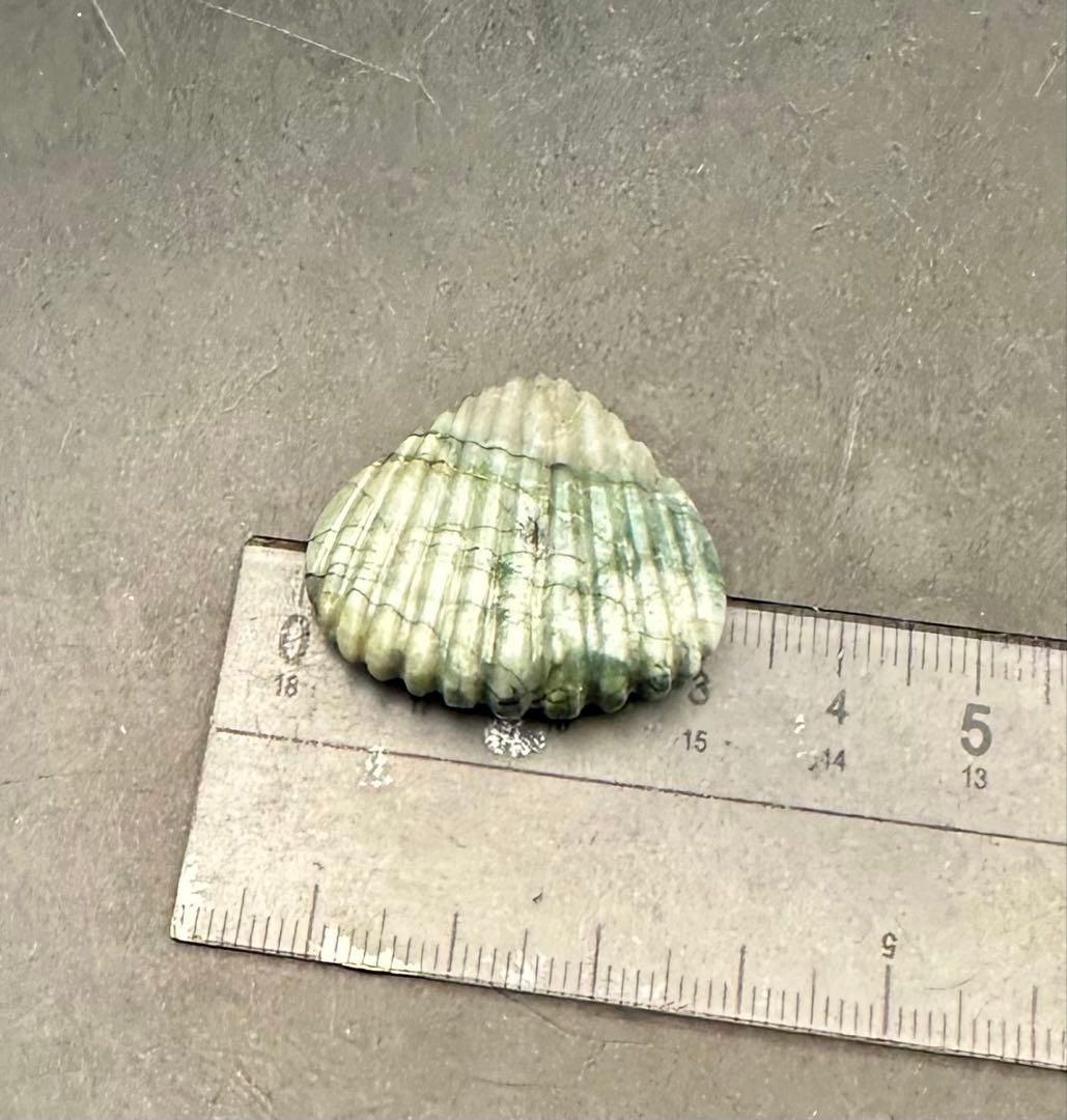 2026.4.3海霊貝運　新潟産上質青玉