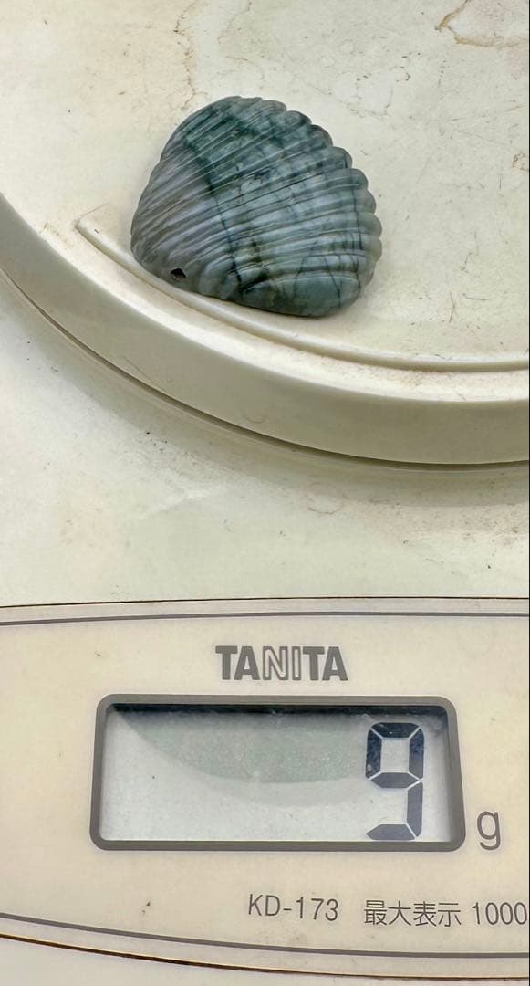 2026.4.3海霊貝運　新潟産上質青玉