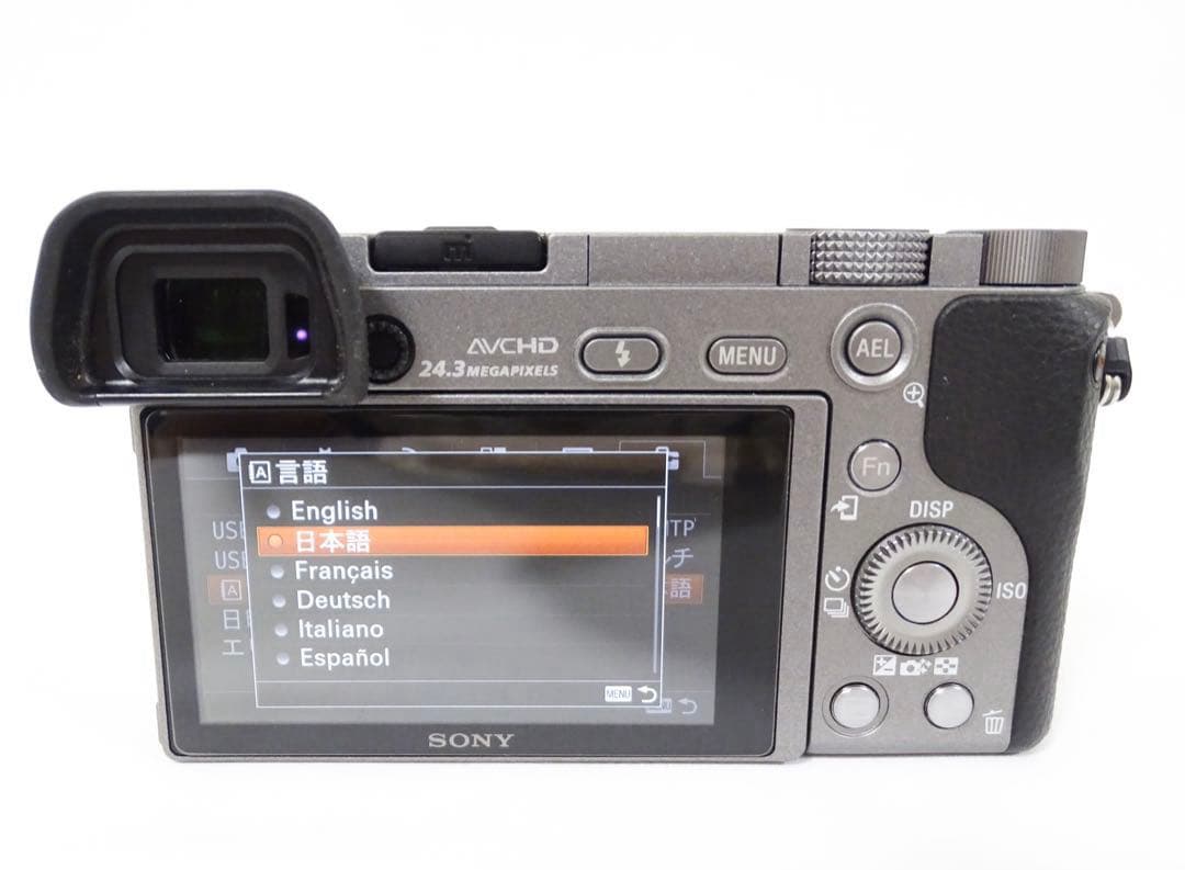 ほぼ新品【SC:232回】 SONY α6000 16-50 グラファイトグレー