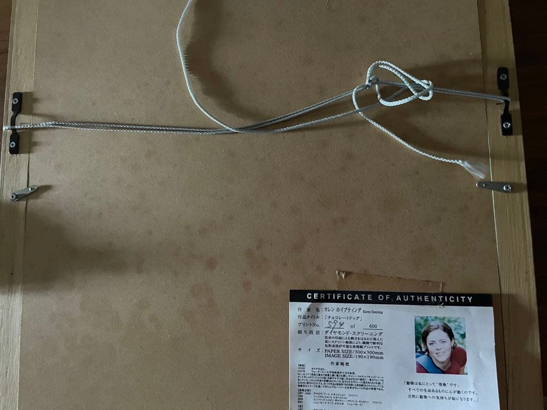 最終値下げ☆カレン ホイプティング「チョコレート ドッグ」