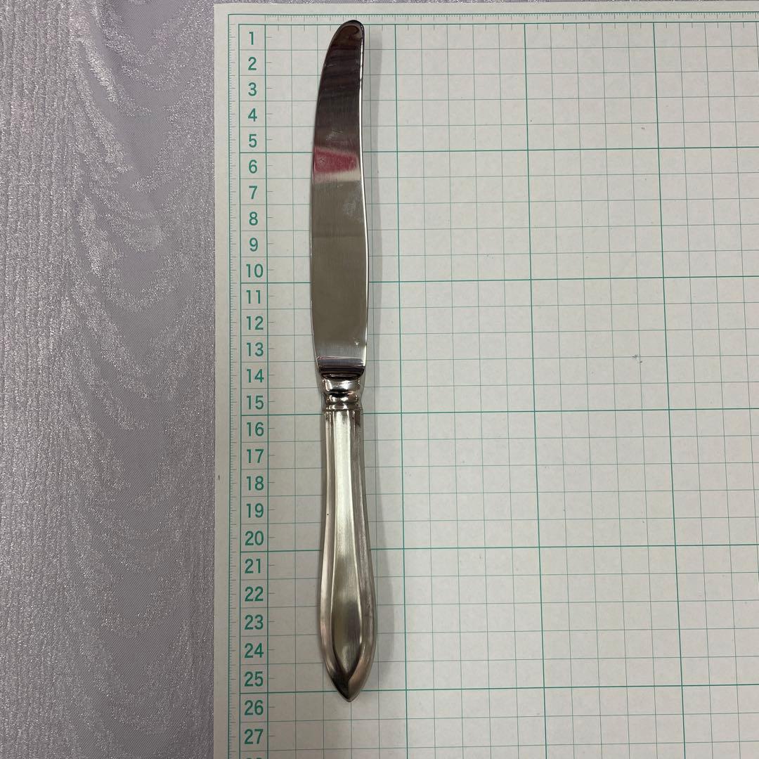 ホープテーブルナイフつや消し25㎝１本1617円３０本セット