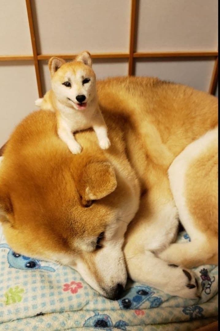 羊毛フェルト 犬 オーダー ペットロス 愛犬 そっくり Mサイズ