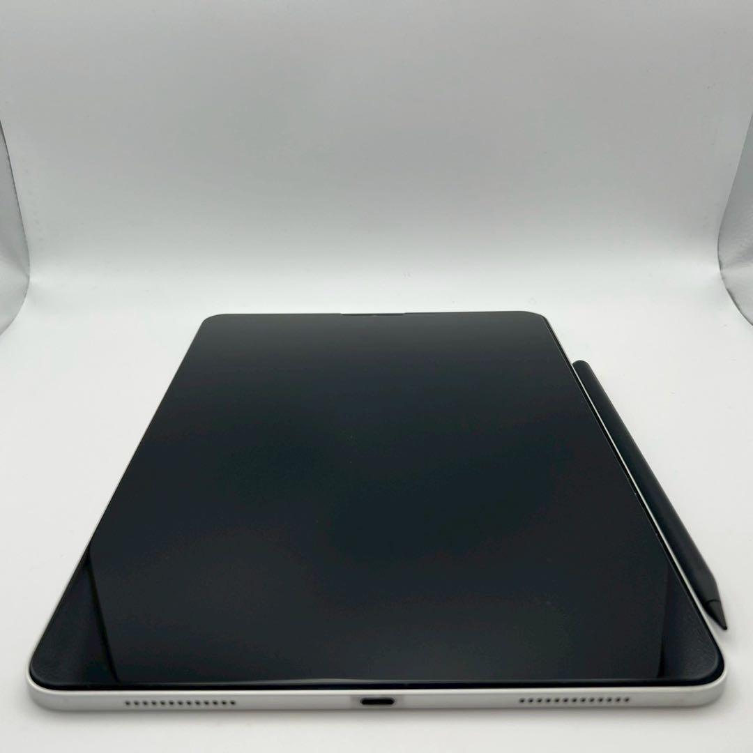 【動作品】iPad Pro 11インチ 512GB シルバー ペン付き