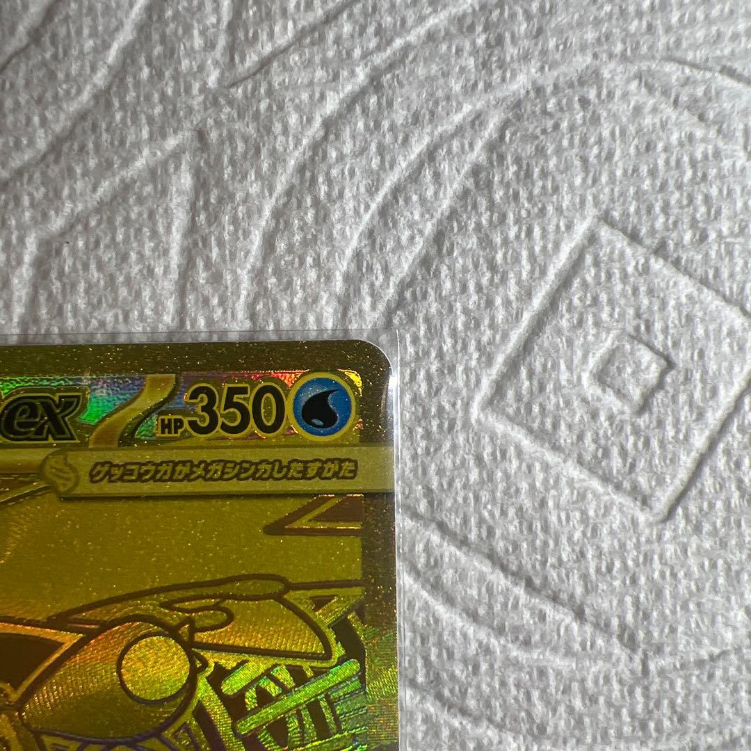 メガゲッコウガex MUR