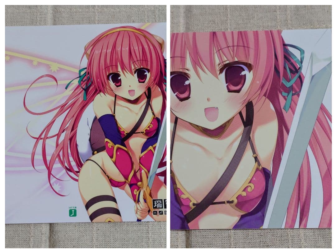 【バラ売り可】星刻の竜騎士（ノベル版）特典ブックカバー　8枚セット