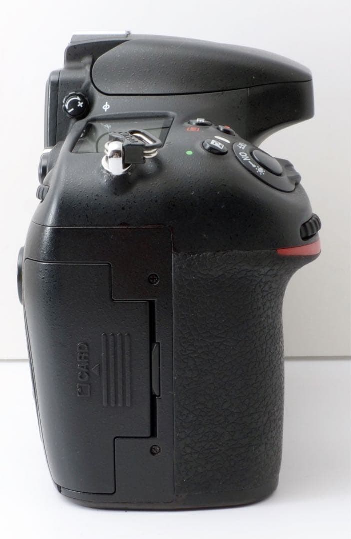 3630万画素！Nikon D800E●大人気フルサイズ機