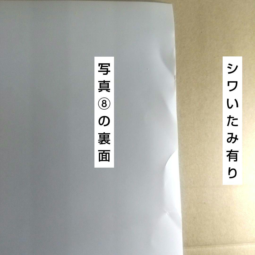 DS 販促 ファイナルファンタジータクティクスA2 ポスター 非売品 FFT