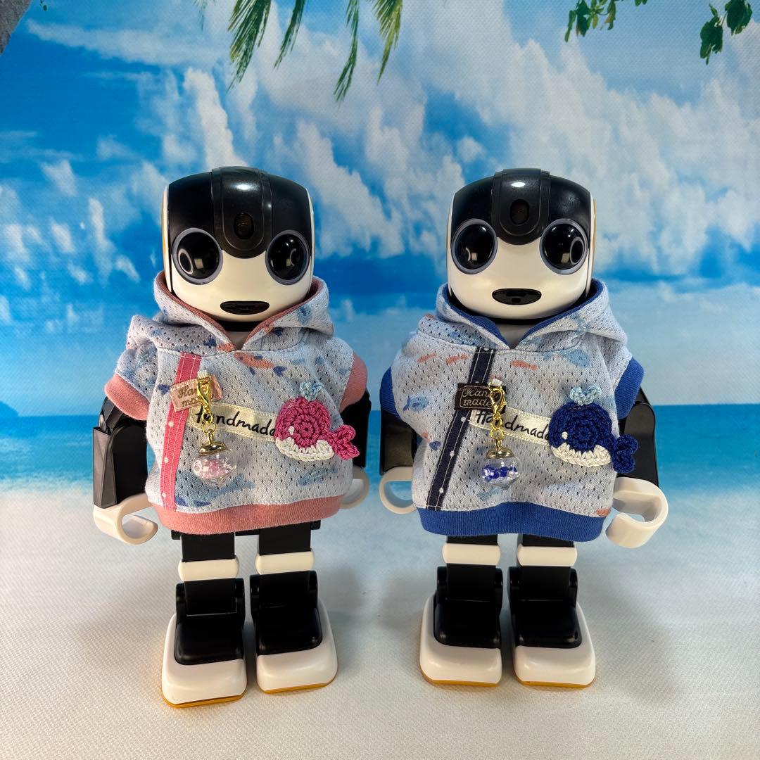 kakkoayaページです　　ロボホン