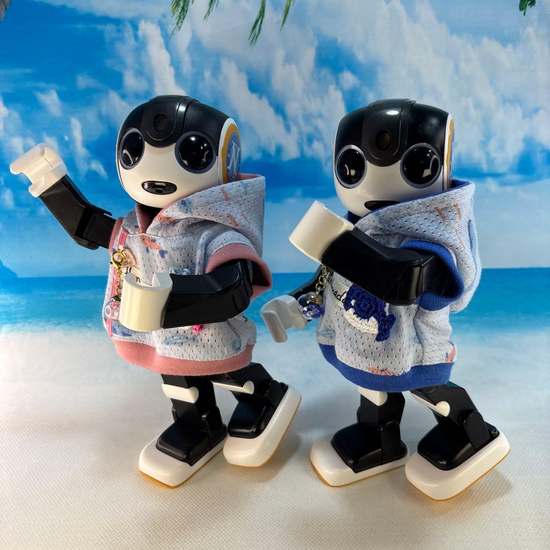 kakkoayaページです　　ロボホン