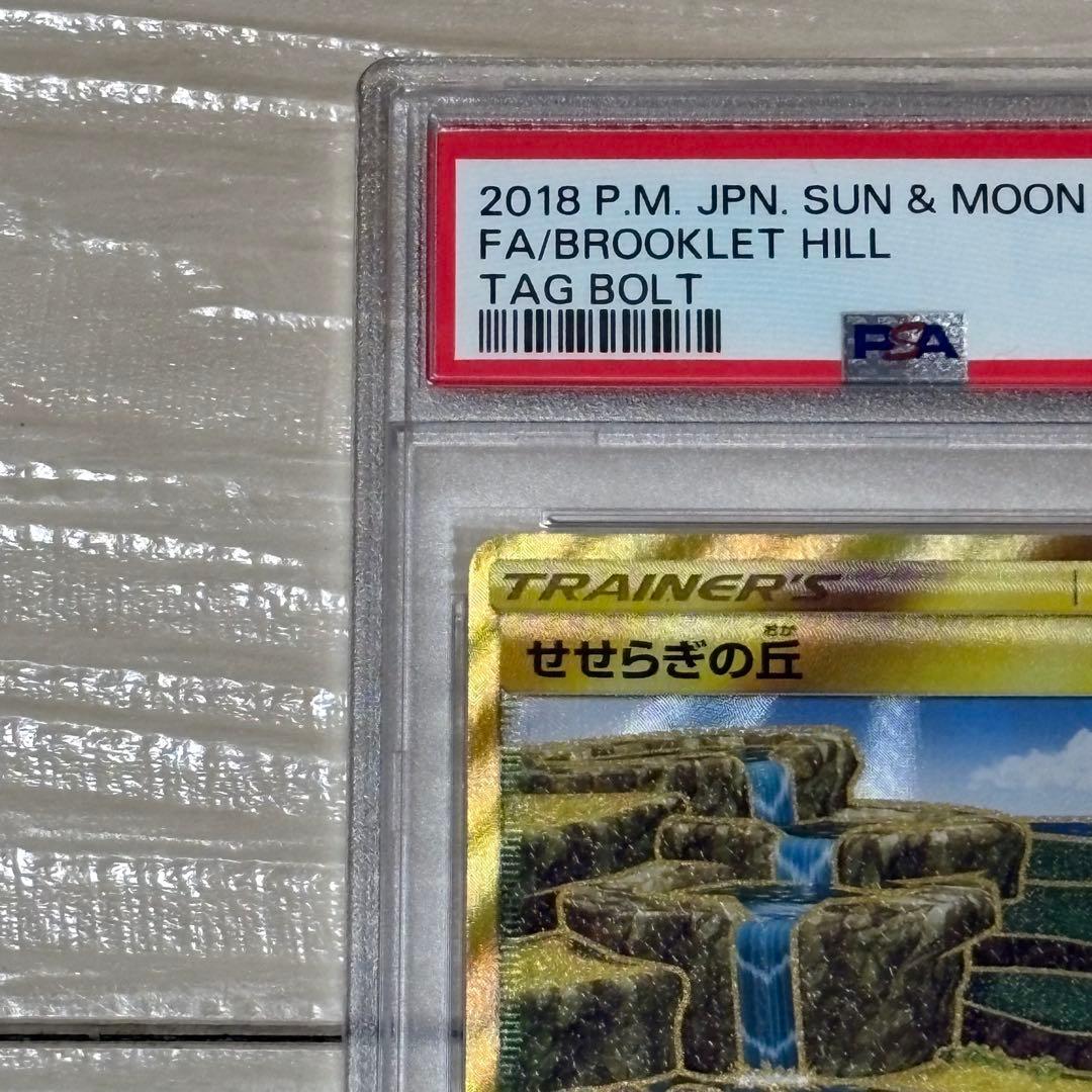 【世界に90枚】せせらぎの丘 UR PSA10 タッグボルト