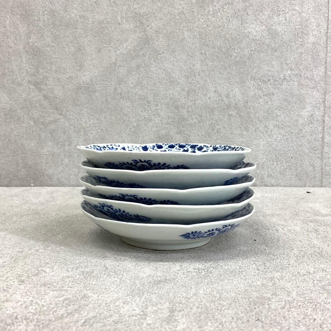 中皿 5点 直径15.3cm 花唐草 染付 藍色 青 古皿 伊万里 有田 ⑨