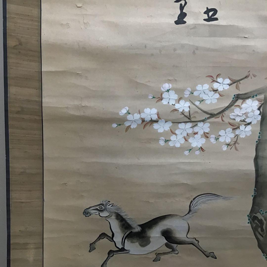 K茶道具　掛軸「桜馬図」画:桜妙作　讃:忠香作　伝幕末　自作桐箱　S175KJ