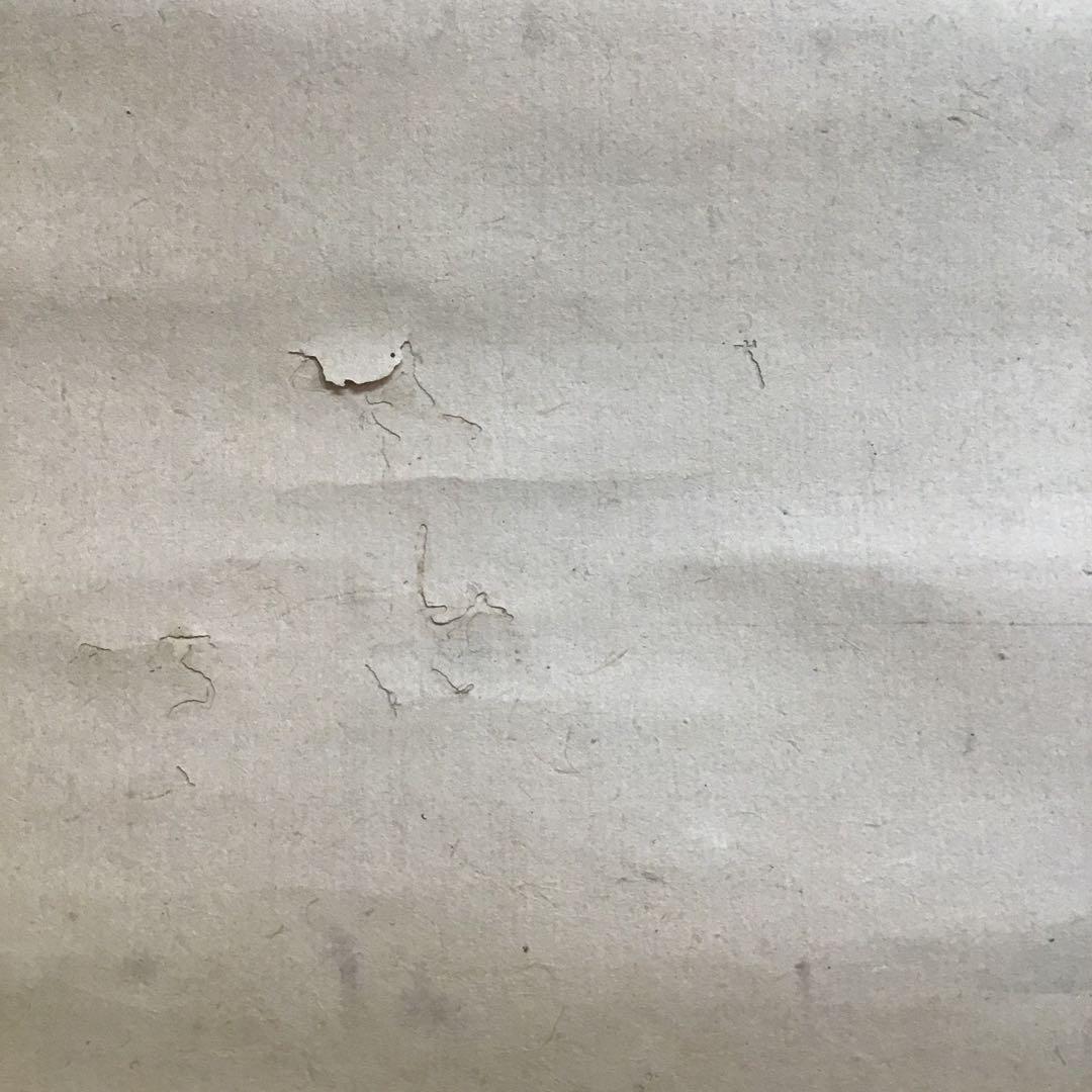 K茶道具　掛軸「桜馬図」画:桜妙作　讃:忠香作　伝幕末　自作桐箱　S175KJ