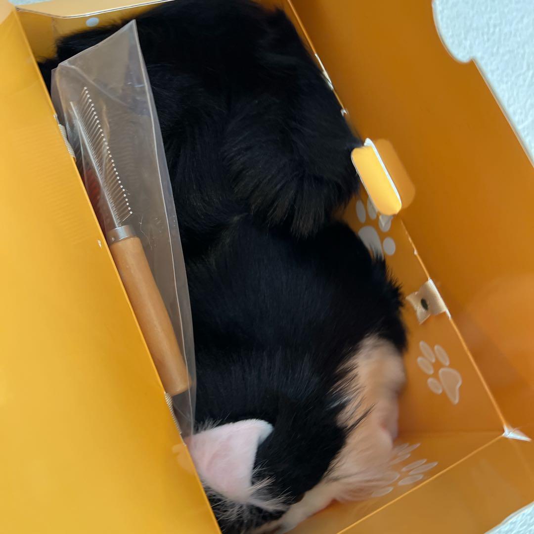 猫 ぬいぐるみ リアル ハンドメイド やさしい手触り 可愛い 癒し ネコ