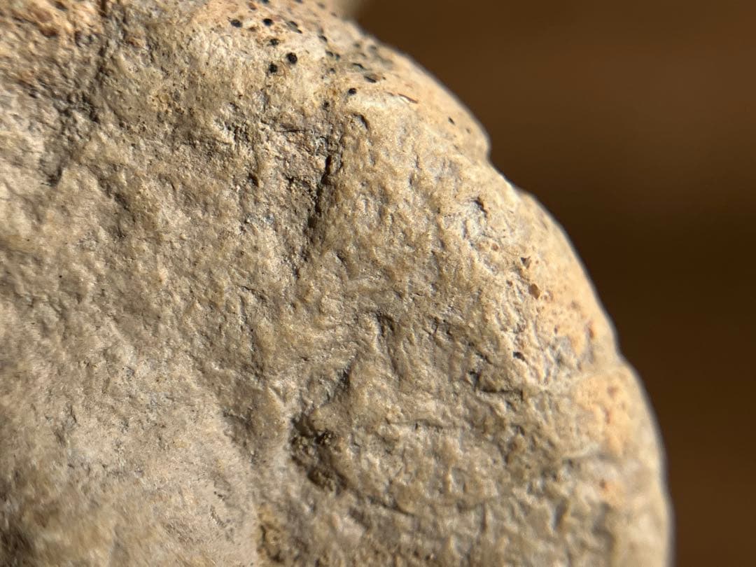 【美しい、、古代中国の羊像 新石器時代後期頃 前3000～2000年】骨董発掘